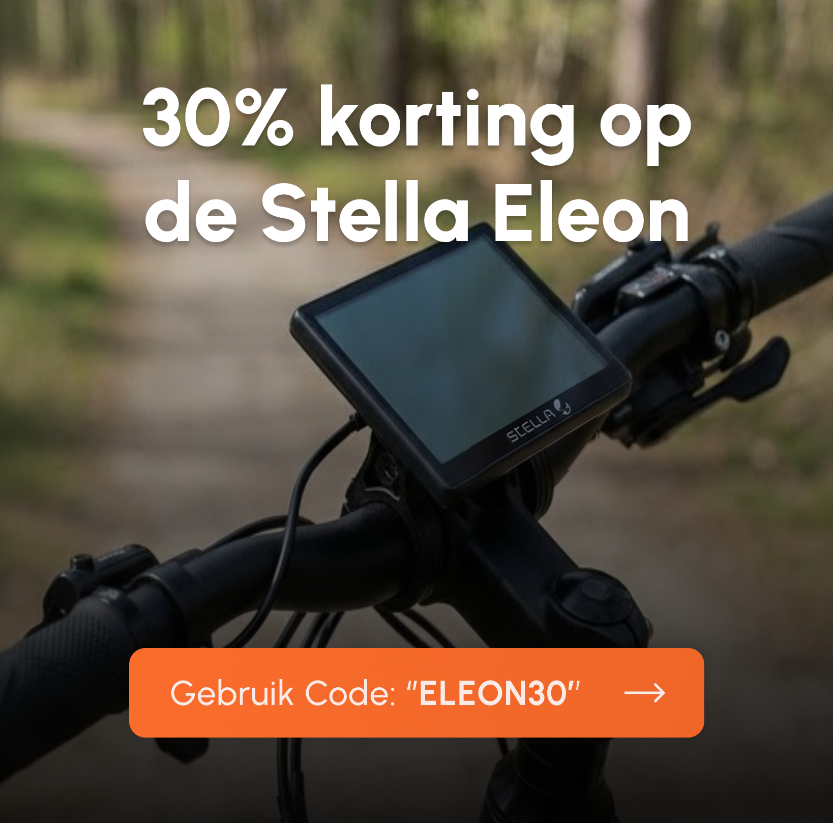 stella-eleon-display