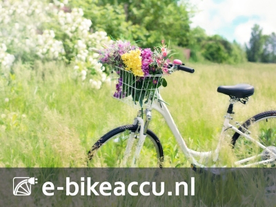De mooiste fietstochten om te fietsen met uw e-bike in de lente! 