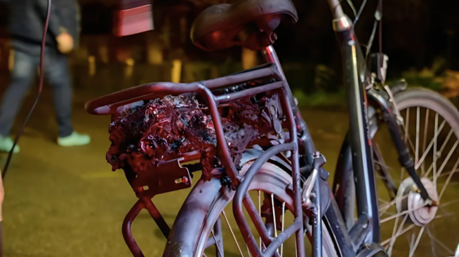 e-bike accu brand voorkomen