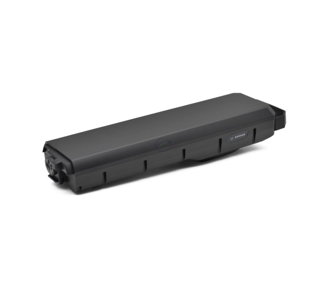 Schuin zijaanzicht van de Bosch Powerpack 700 Performance/Active bagagedrager E-Bike Vision. De zijkant van de accu met de batterijindicator is goed te zien.