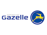 Gazelle Fietsaccu's